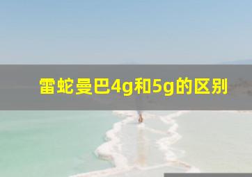 雷蛇曼巴4g和5g的区别