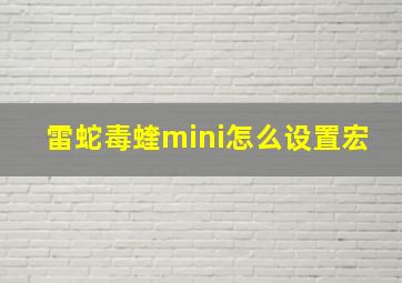 雷蛇毒蝰mini怎么设置宏