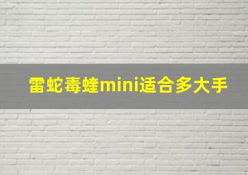 雷蛇毒蝰mini适合多大手