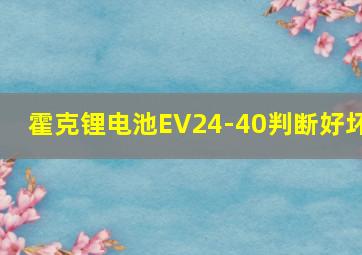 霍克锂电池EV24-40判断好坏