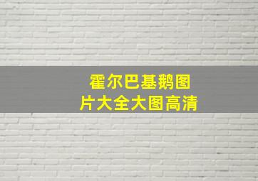 霍尔巴基鹅图片大全大图高清