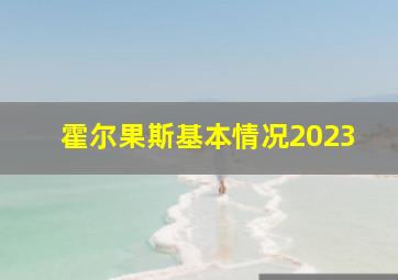 霍尔果斯基本情况2023