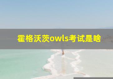 霍格沃茨owls考试是啥