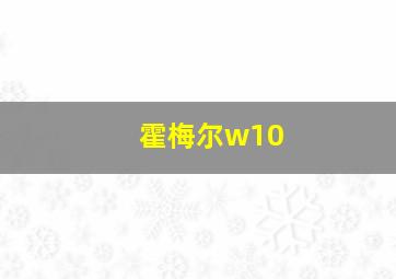 霍梅尔w10