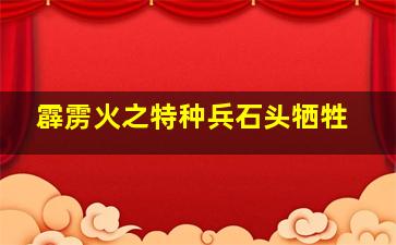 霹雳火之特种兵石头牺牲