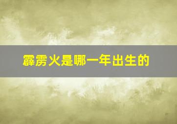 霹雳火是哪一年出生的