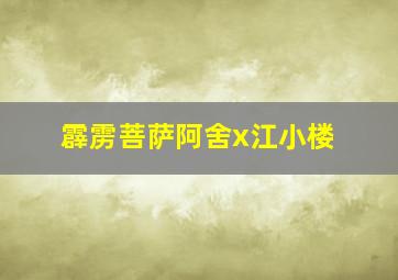 霹雳菩萨阿舍x江小楼