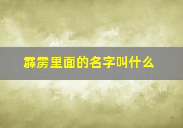 霹雳里面的名字叫什么