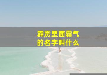 霹雳里面霸气的名字叫什么