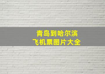 青岛到哈尔滨飞机票图片大全