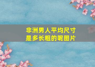 非洲男人平均尺寸是多长粗的呢图片