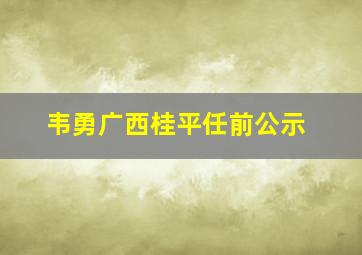 韦勇广西桂平任前公示