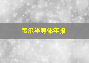 韦尔半导体年报