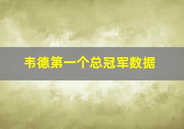 韦德第一个总冠军数据