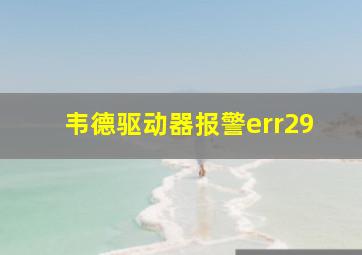 韦德驱动器报警err29