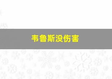 韦鲁斯没伤害