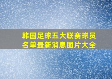 韩国足球五大联赛球员名单最新消息图片大全