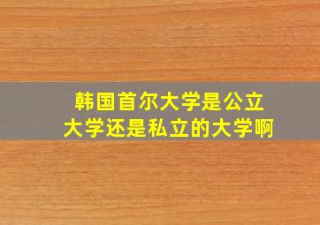 韩国首尔大学是公立大学还是私立的大学啊