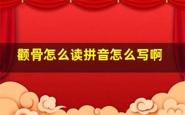 颧骨怎么读拼音怎么写啊