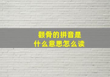 颧骨的拼音是什么意思怎么读