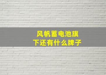 风帆蓄电池旗下还有什么牌子