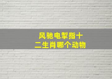 风驰电掣指十二生肖哪个动物