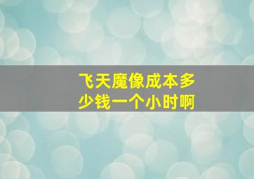 飞天魔像成本多少钱一个小时啊