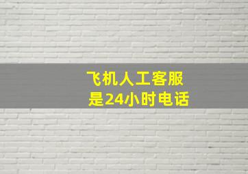 飞机人工客服是24小时电话