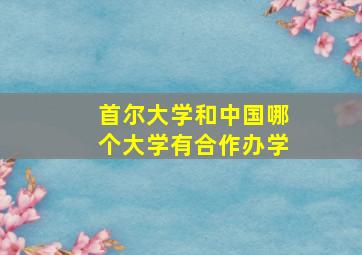 首尔大学和中国哪个大学有合作办学