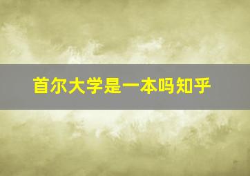 首尔大学是一本吗知乎