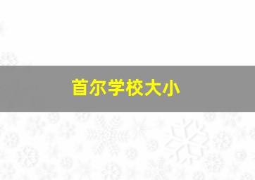 首尔学校大小