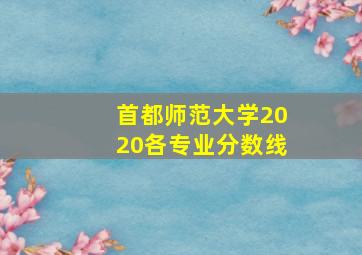 首都师范大学2020各专业分数线