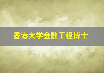 香港大学金融工程博士