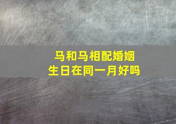 马和马相配婚姻生日在同一月好吗