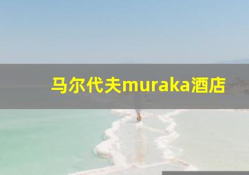 马尔代夫muraka酒店