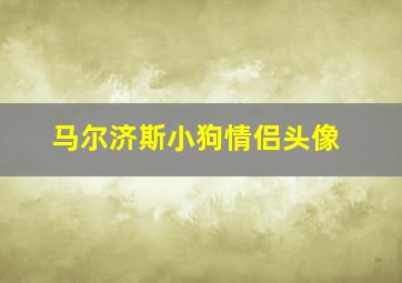 马尔济斯小狗情侣头像