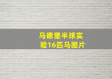 马德堡半球实验16匹马图片