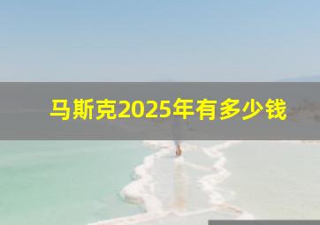 马斯克2025年有多少钱