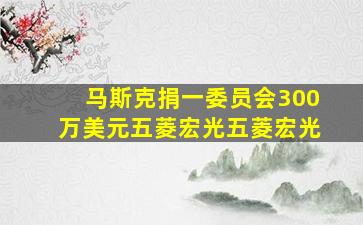 马斯克捐一委员会300万美元五菱宏光五菱宏光