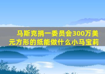 马斯克捐一委员会300万美元方形的纸能做什么小马宝莉