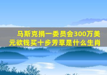 马斯克捐一委员会300万美元欲钱买十步芳草是什么生肖