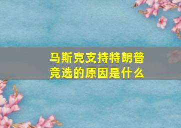 马斯克支持特朗普竞选的原因是什么