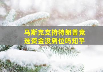 马斯克支持特朗普竞选资金没到位吗知乎