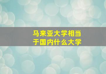 马来亚大学相当于国内什么大学