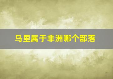 马里属于非洲哪个部落