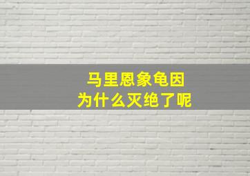 马里恩象龟因为什么灭绝了呢