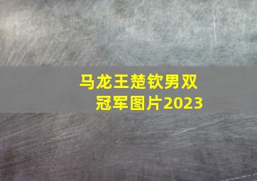 马龙王楚钦男双冠军图片2023