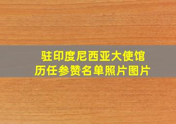 驻印度尼西亚大使馆历任参赞名单照片图片