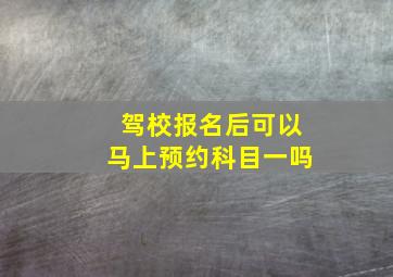 驾校报名后可以马上预约科目一吗