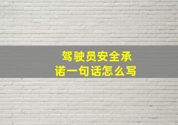 驾驶员安全承诺一句话怎么写